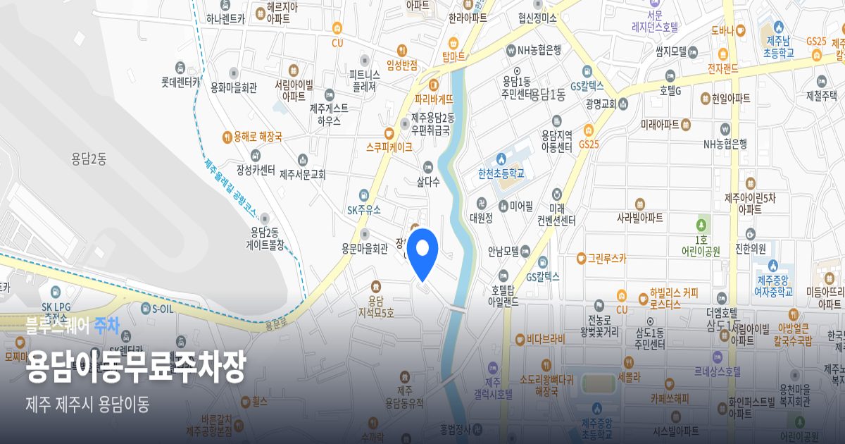 용담이동무료주차장 위치 지도