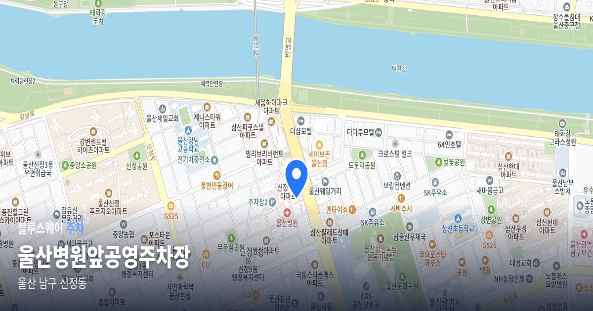 울산병원앞공영주차장 위치 지도