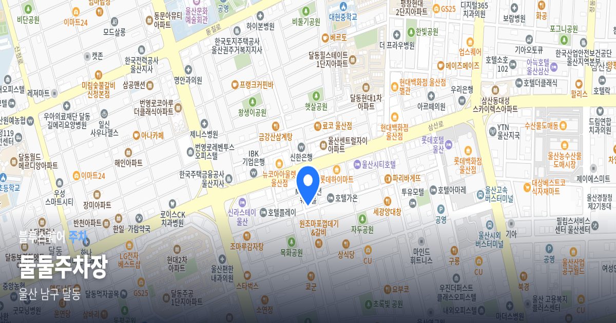 둘둘주차장 위치 지도