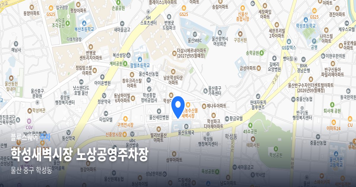학성새벽시장 노상공영주차장 위치 지도