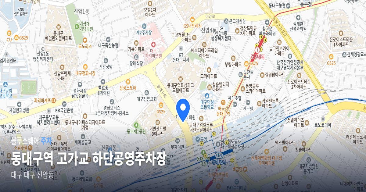 동대구역 고가교 하단공영주차장 위치 지도