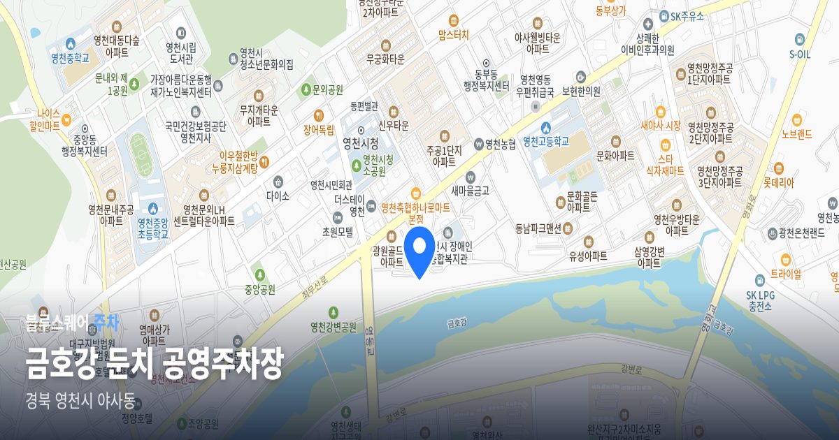 금호강 둔치 공영주차장 위치 지도