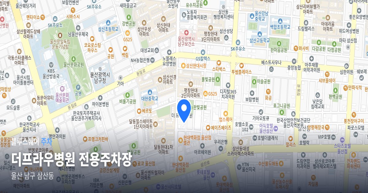 더프라우병원 전용주차장 위치 지도