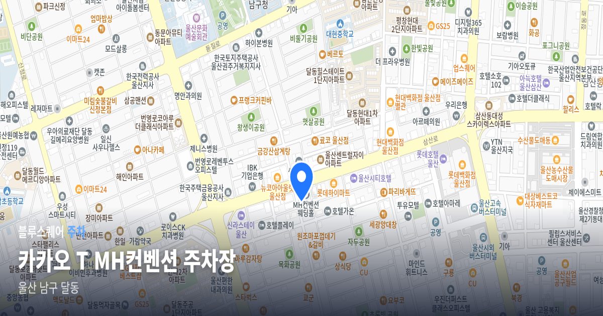 카카오 T MH컨벤션 주차장 위치 지도
