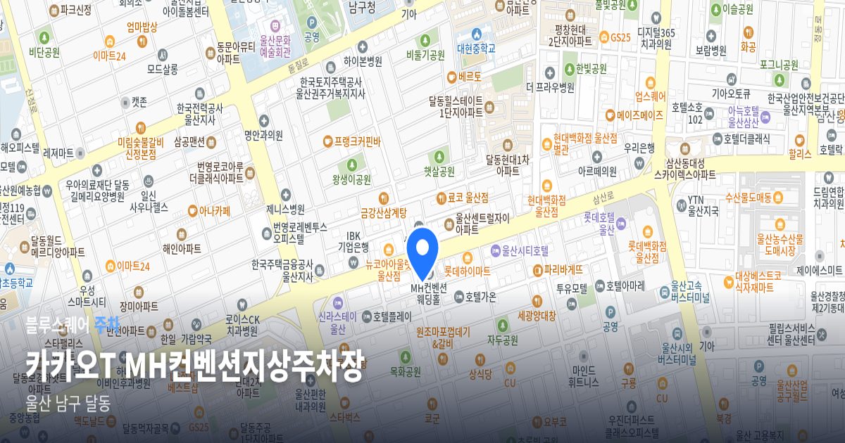 카카오T MH컨벤션지상주차장 위치 지도
