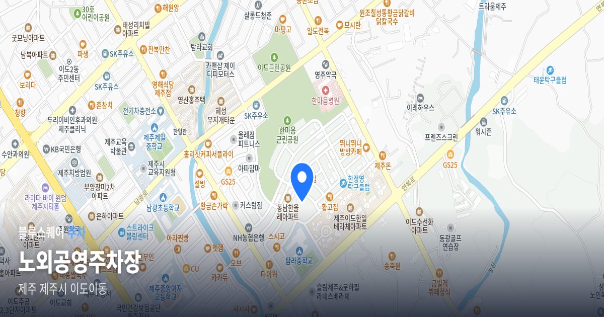 노외공영주차장 위치 지도