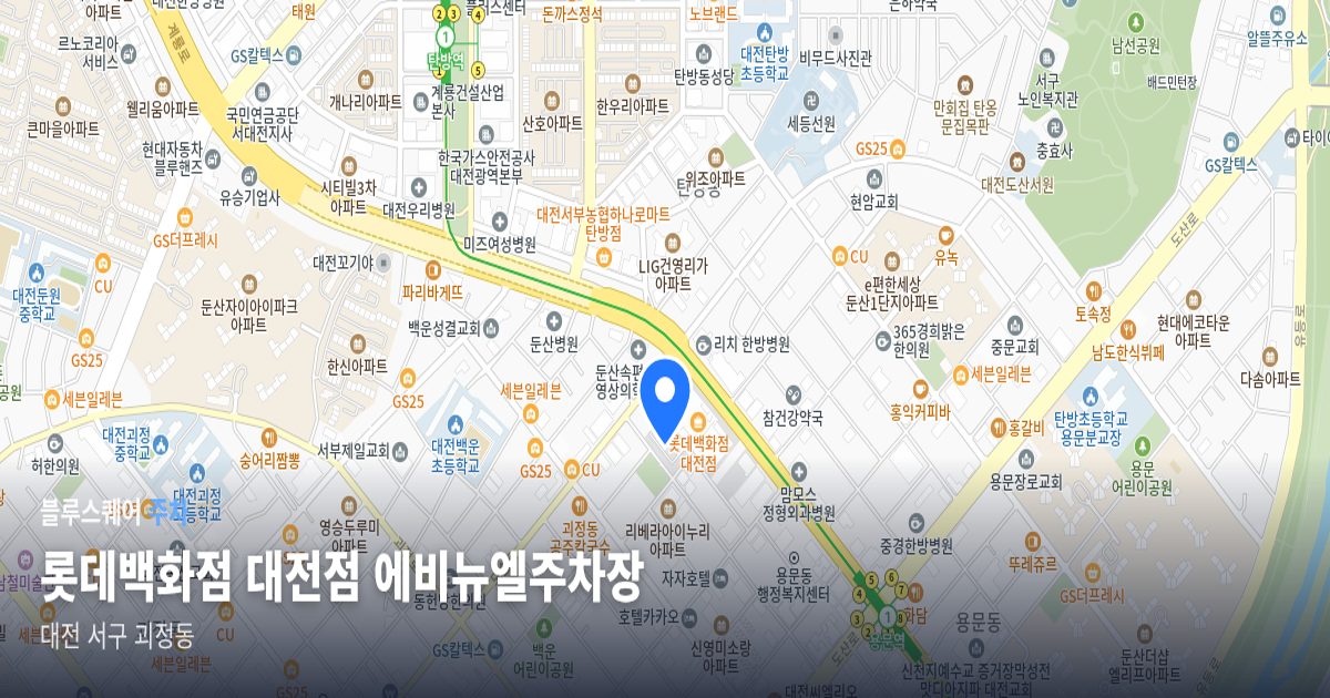 롯데백화점 대전점 에비뉴엘주차장 위치 지도