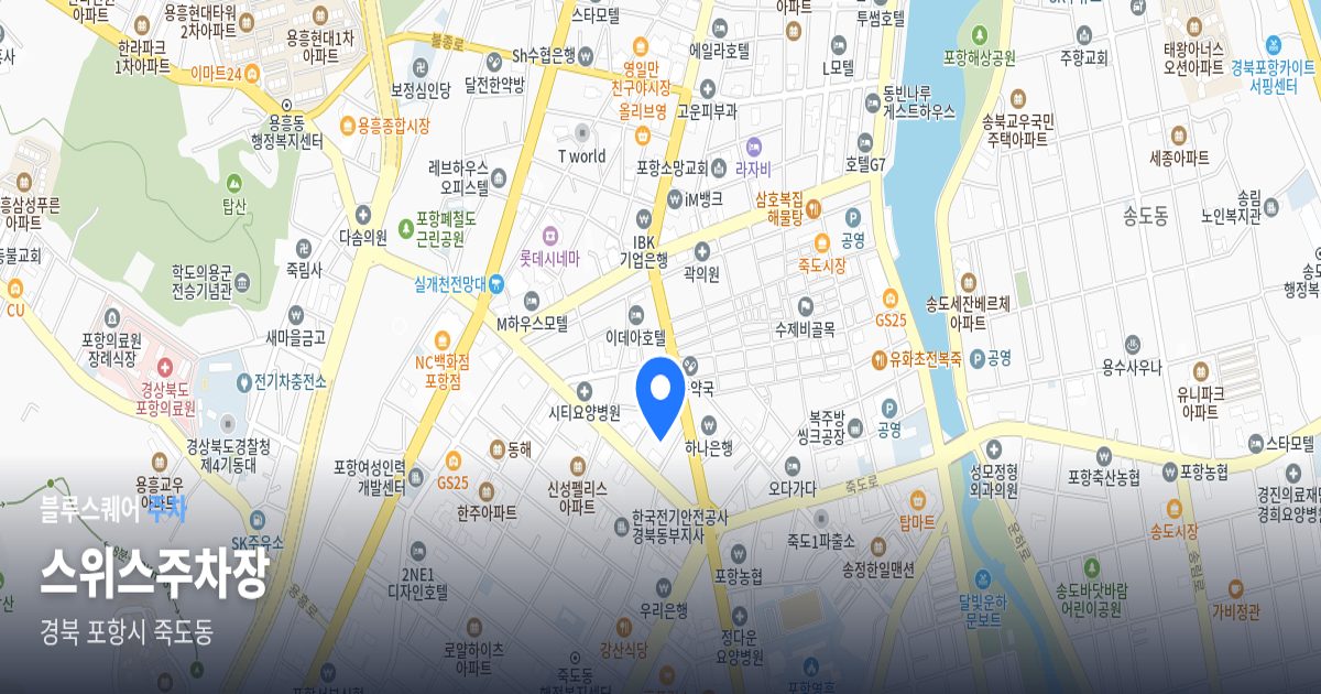 스위스주차장 위치 지도