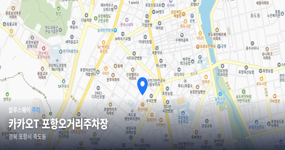 카카오T 포항오거리주차장 위치 지도
