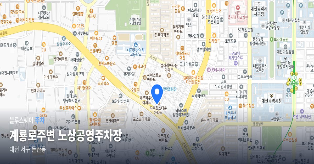 계룡로주변 노상공영주차장 위치 지도