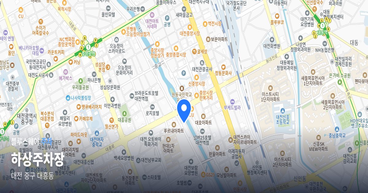 하상주차장 위치 지도