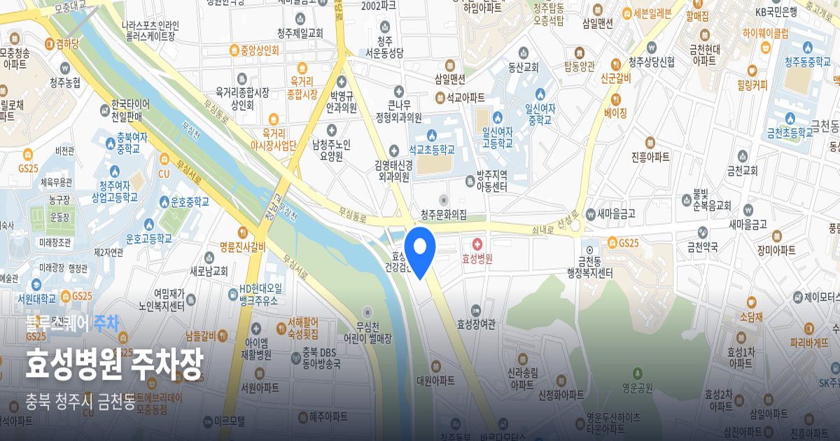 효성병원 주차장 위치 지도