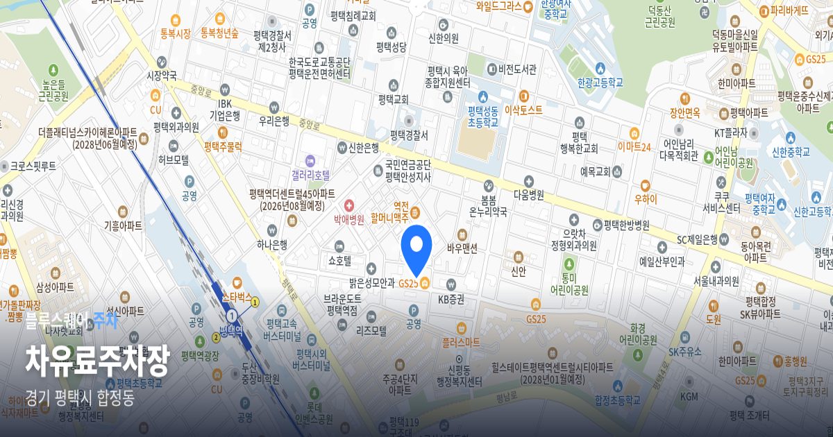 차유료주차장 위치 지도