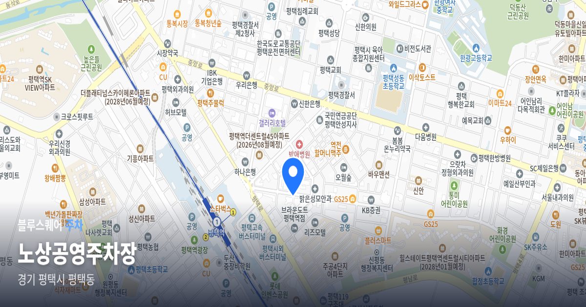 노상공영주차장 위치 지도