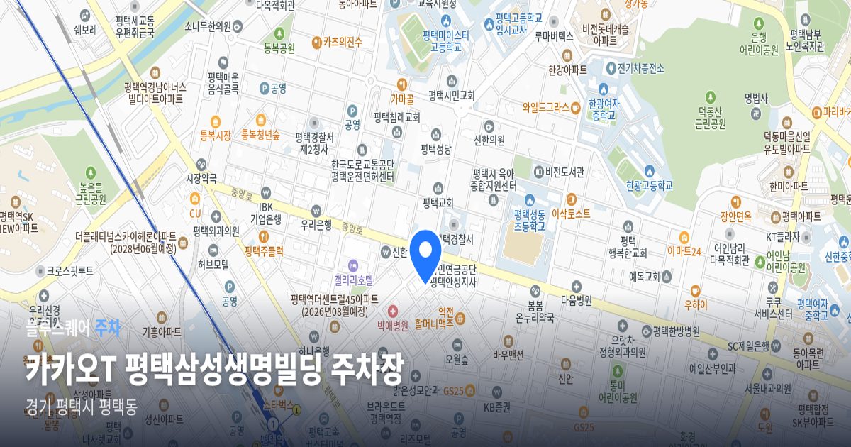 카카오T 평택삼성생명빌딩 주차장 위치 지도