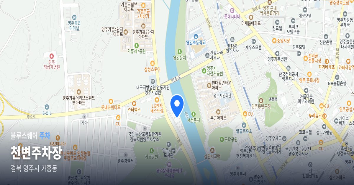 천변주차장 위치 지도