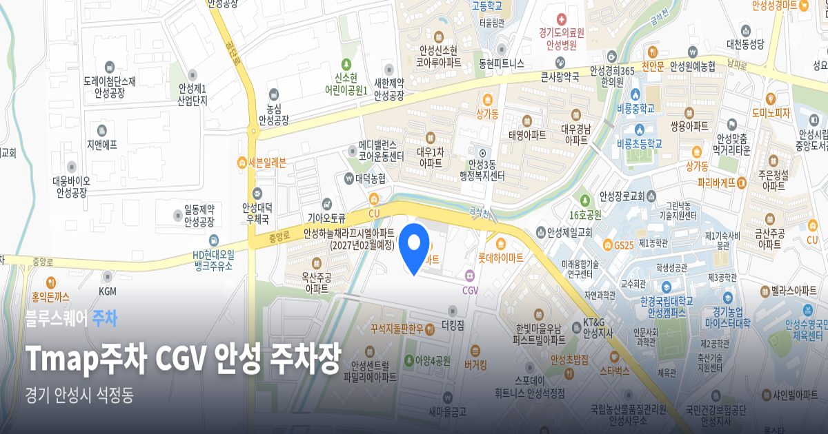 Tmap주차 CGV 안성 주차장 위치 지도