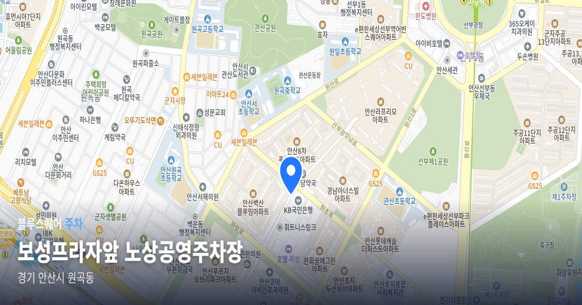 보성프라자앞 노상공영주차장 위치 지도