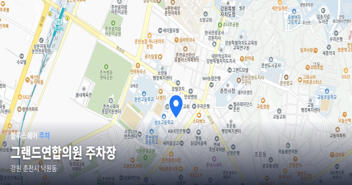 그랜드연합의원 주차장 위치 지도