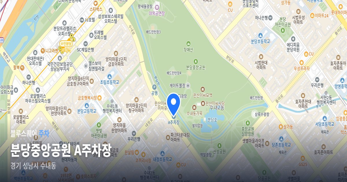 분당중앙공원 A주차장 위치 지도