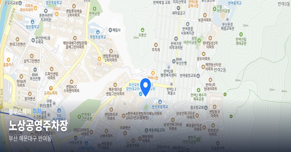 노상공영주차장 위치 지도