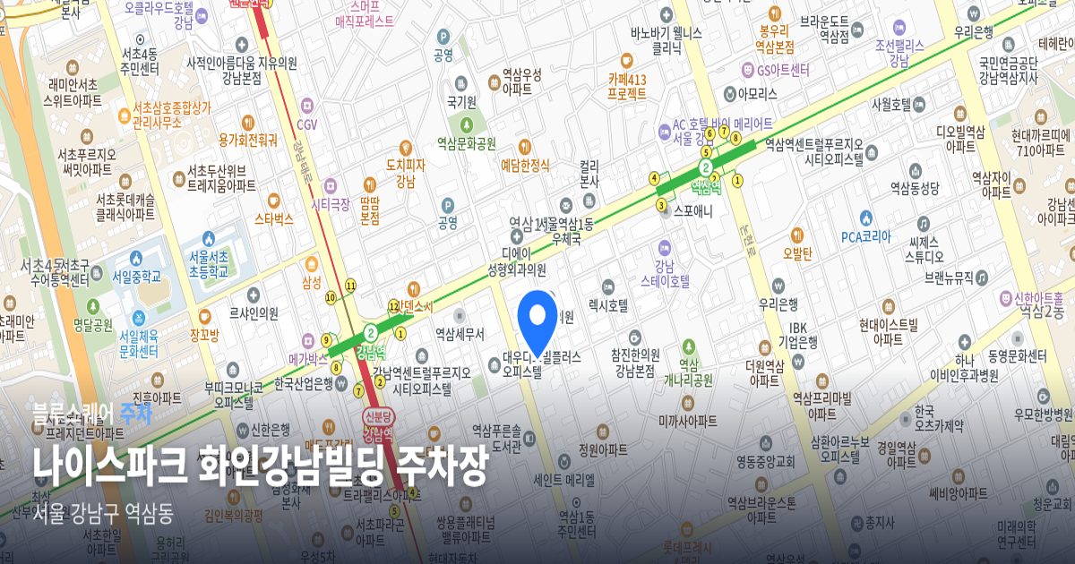 나이스파크 화인강남빌딩 주차장 위치 지도