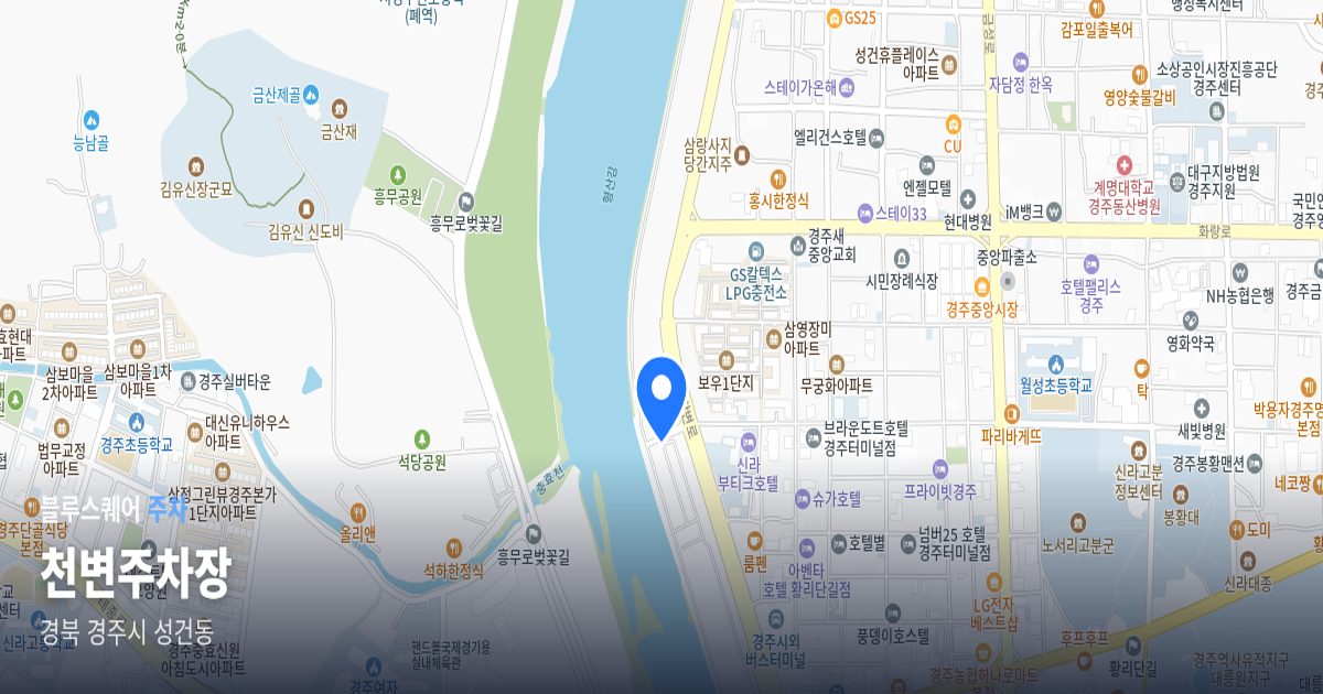 천변주차장 위치 지도