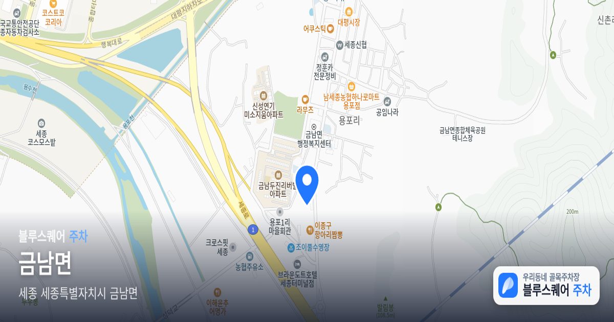 금남면 위치 지도