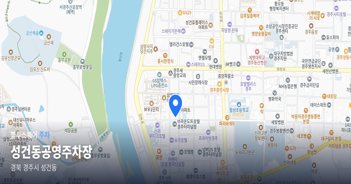 성건동공영주차장 위치 지도