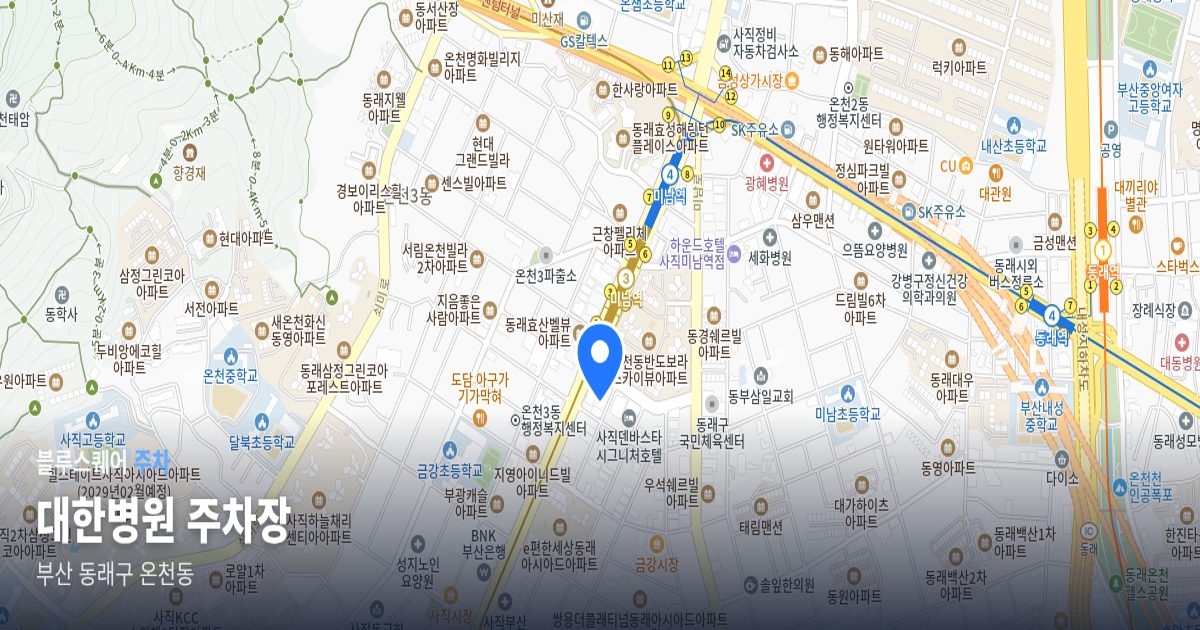대한병원 주차장 위치 지도