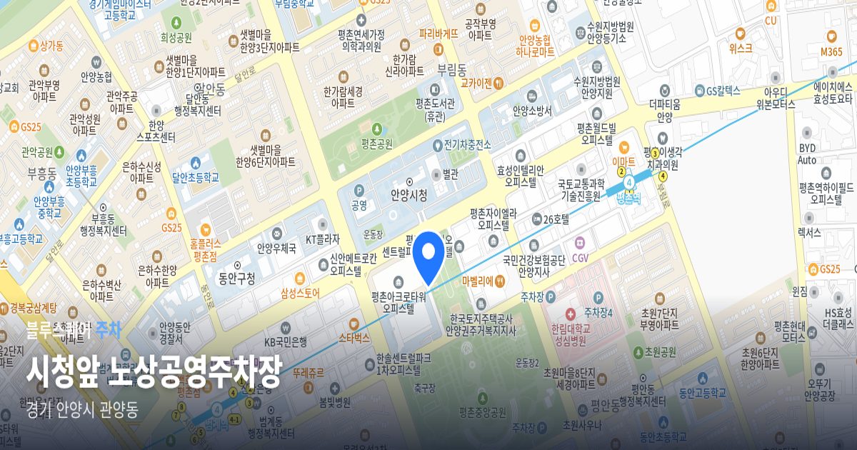 시청앞 노상공영주차장 위치 지도