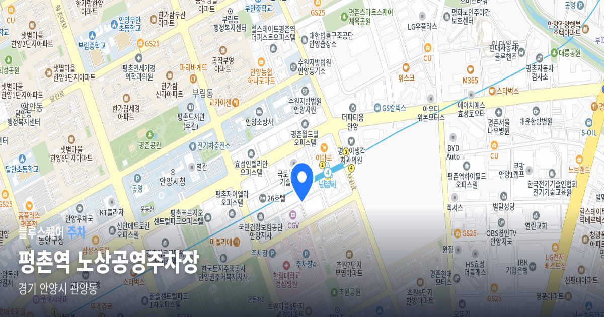 평촌역 노상공영주차장 위치 지도