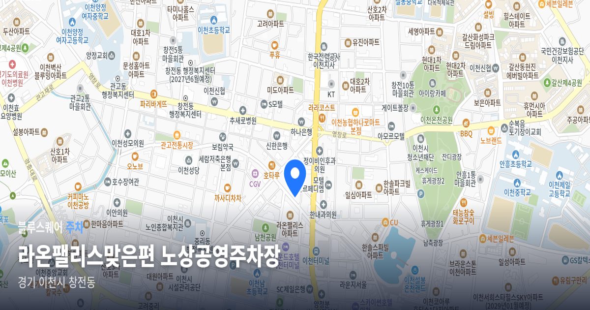 라온팰리스맞은편 노상공영주차장 위치 지도