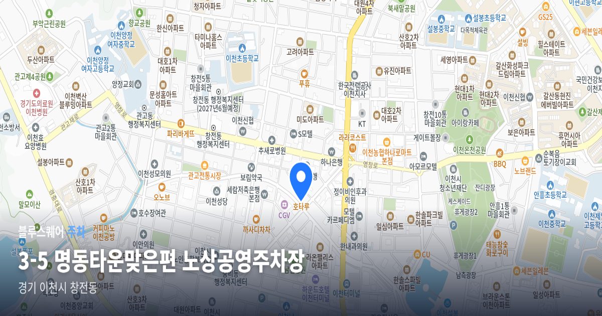 3-5 명동타운맞은편 노상공영주차장 위치 지도
