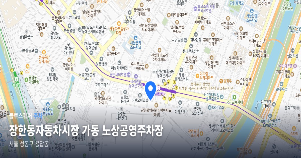 장한동자동차시장 가동 노상공영주차장 위치 지도