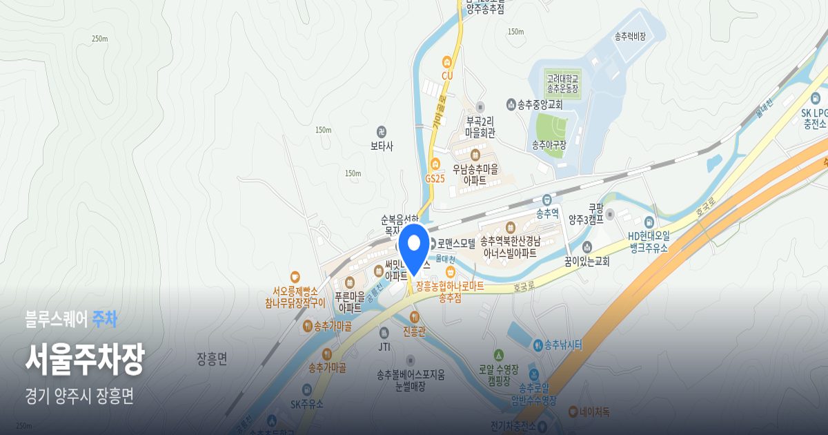 서울주차장 위치 지도