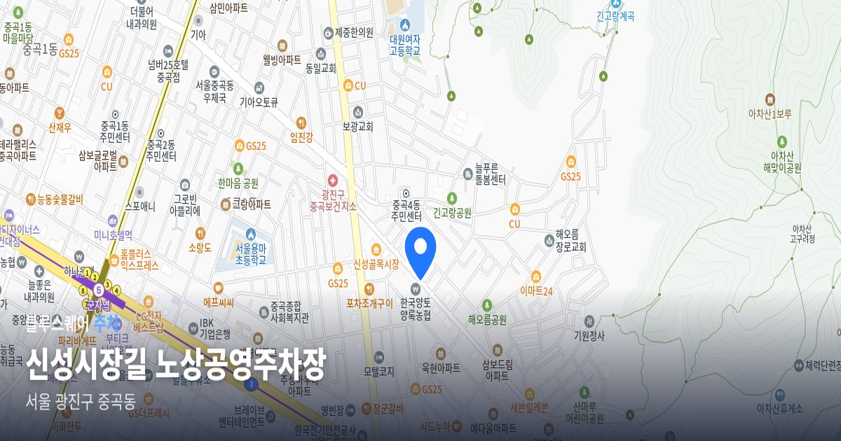 신성시장길 노상공영주차장 위치 지도