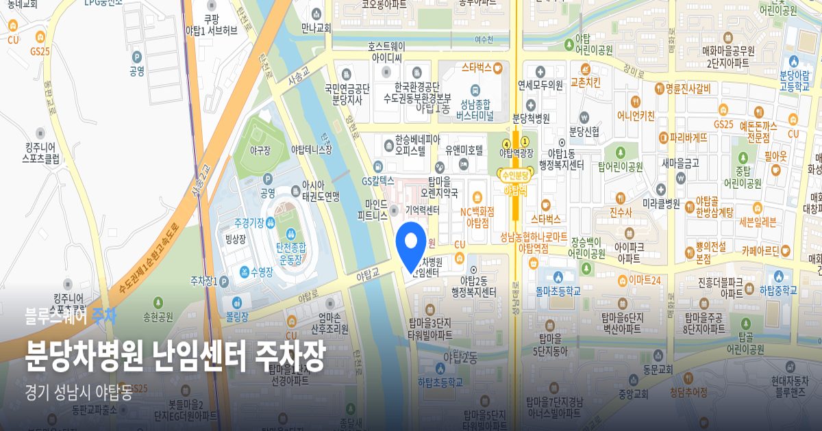 분당차병원 난임센터 주차장 위치 지도
