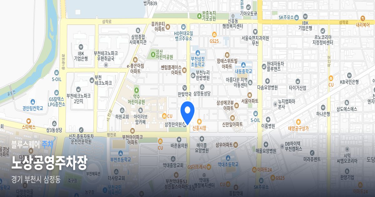 노상공영주차장 위치 지도