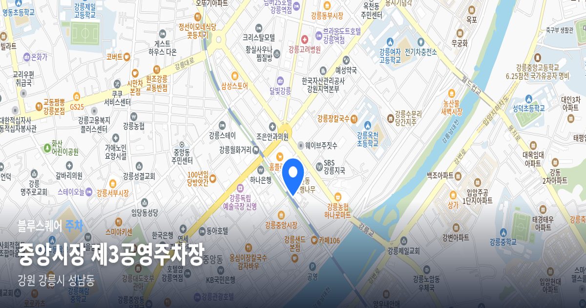 중앙시장 제3공영주차장 위치 지도