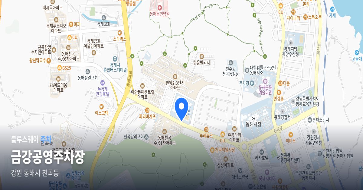 금강공영주차장 위치 지도