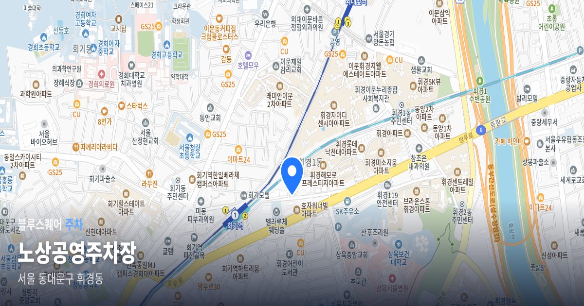 노상공영주차장 위치 지도