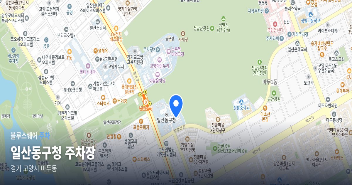 일산동구청 주차장 위치 지도