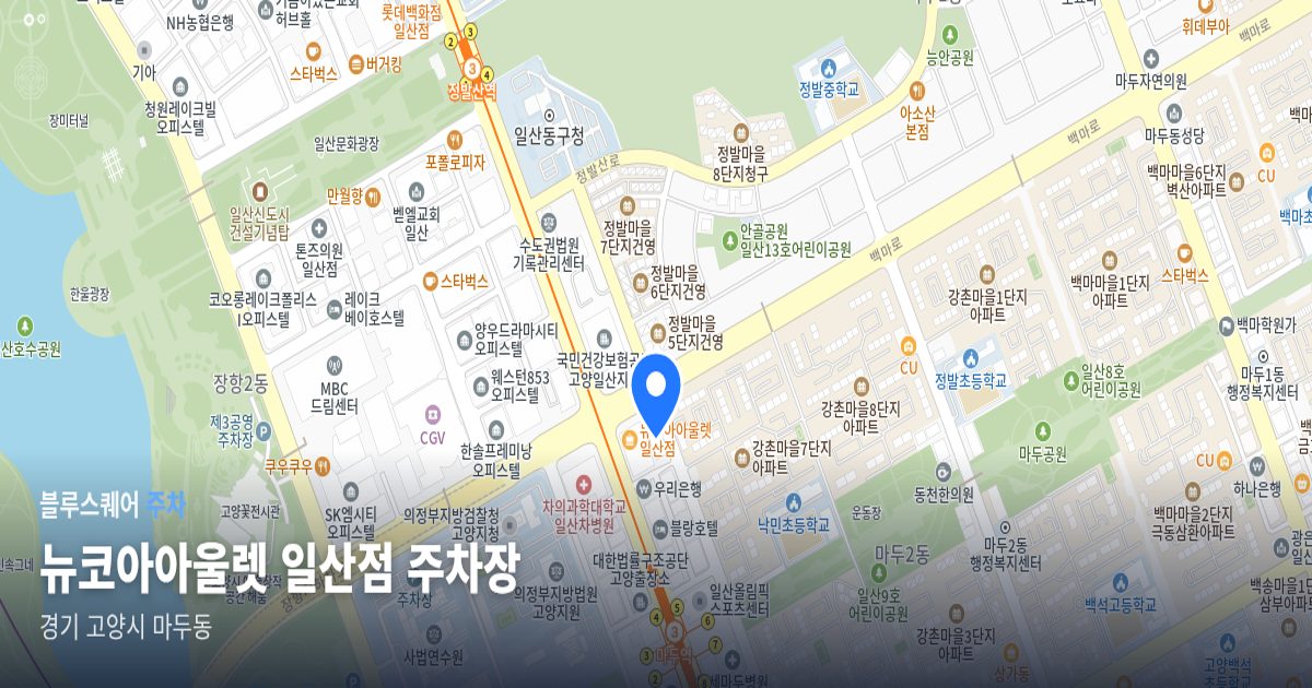 뉴코아아울렛 일산점 주차장 위치 지도