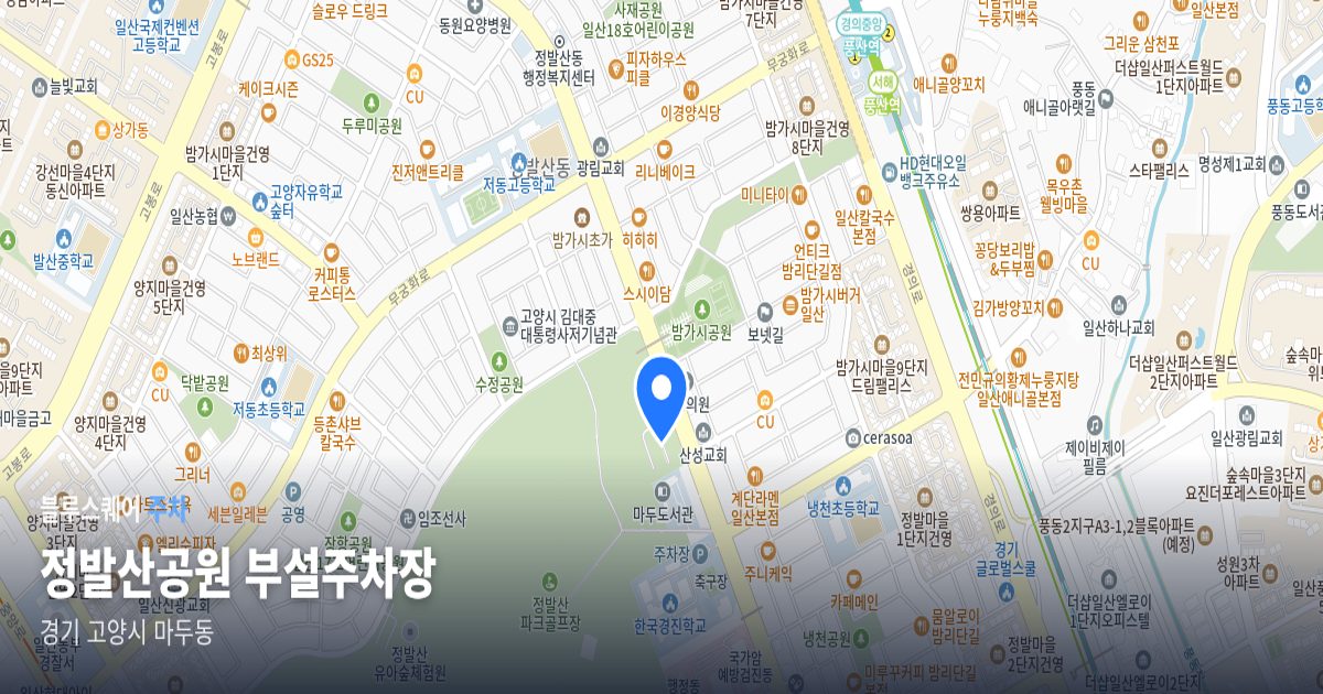 정발산공원 부설주차장 위치 지도
