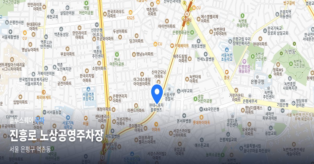 진흥로 노상공영주차장 위치 지도