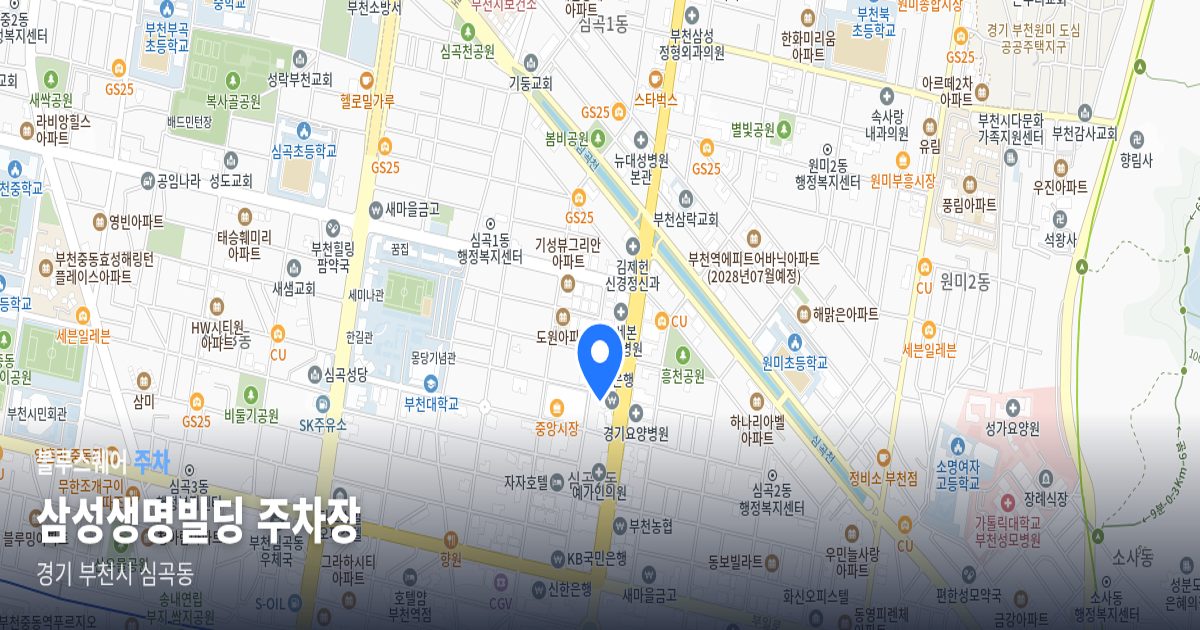 삼성생명빌딩 주차장 위치 지도