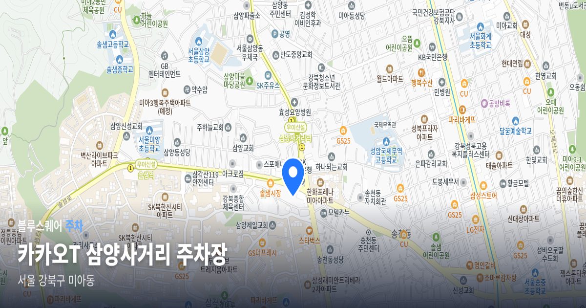 카카오T 삼양사거리 주차장 위치 지도
