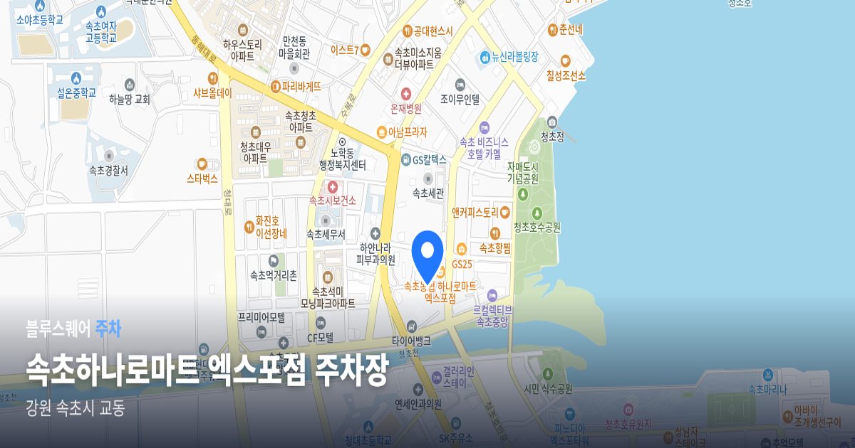 속초하나로마트 엑스포점 주차장 위치 지도