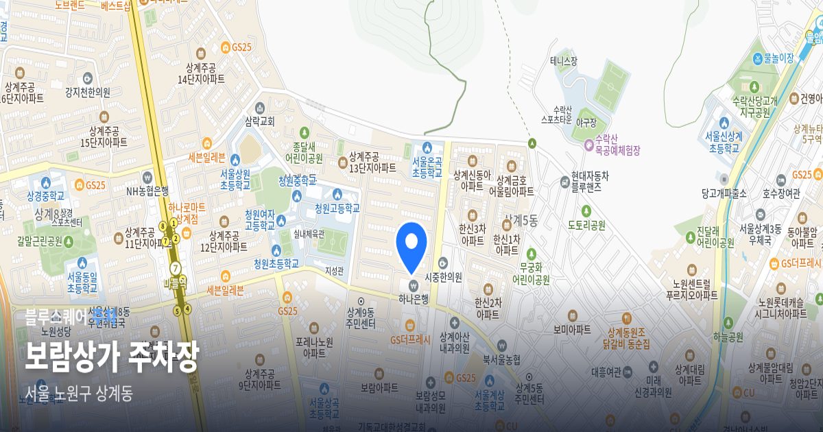 보람상가 주차장 위치 지도